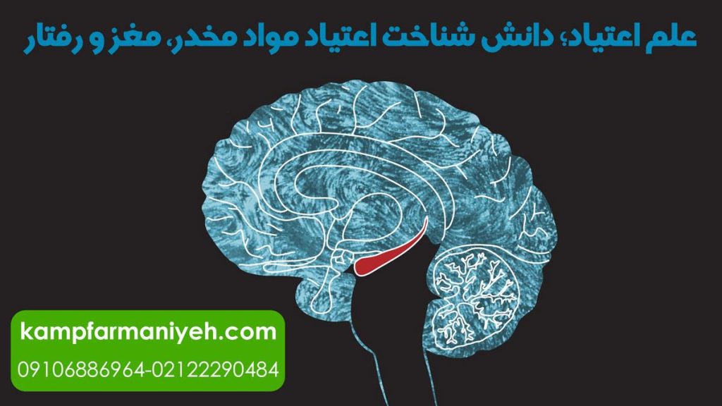 ImageViewer 10 - کمپ ترک اعتیاد فرمانیه کمپ ترک اعتیاد لاکچری با بهترین امکانات درمانی و رفاهی برای بیماران علم اعتیاد؛ دانش شناخت اعتیاد مواد مخدر، مغز و رفتار