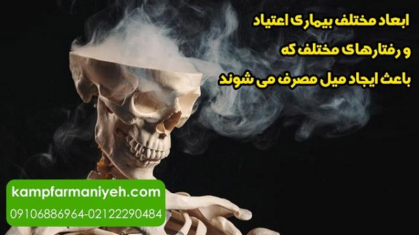 ابعاد مختلف بیماری اعتیاد و رفتارهای مختلف که باعث ایجاد میل مصرف می‌شوند