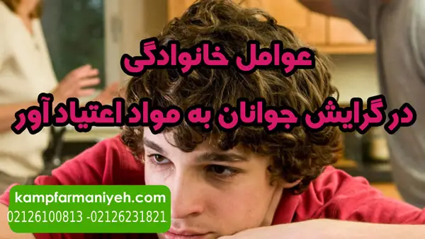 drug addiction10 - کمپ ترک اعتیاد فرمانیه کمپ ترک اعتیاد لاکچری با بهترین امکانات درمانی و رفاهی برای بیماران