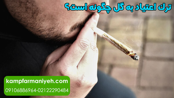 quit flower addiction - کمپ ترک اعتیاد فرمانیه کمپ ترک اعتیاد لاکچری با بهترین امکانات درمانی و رفاهی برای بیماران ترک اعتیاد به گل چگونه است؟