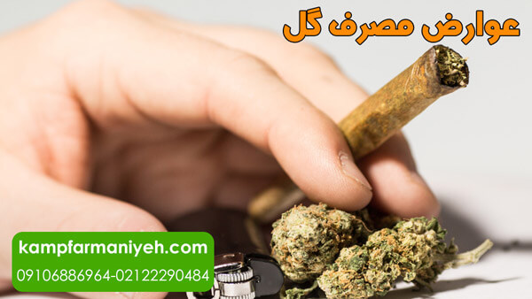 side effects of consuming flowers - کمپ ترک اعتیاد فرمانیه کمپ ترک اعتیاد لاکچری با بهترین امکانات درمانی و رفاهی برای بیماران عوارض مصرف گل