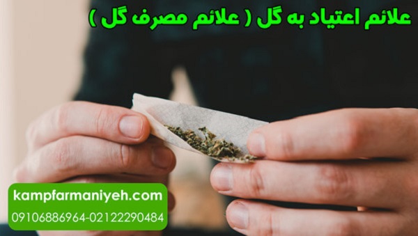 symptoms of flower addiction - کمپ ترک اعتیاد فرمانیه کمپ ترک اعتیاد لاکچری با بهترین امکانات درمانی و رفاهی برای بیماران علائم اعتیاد به گل