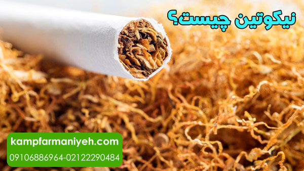 نیکوتین چیست؟